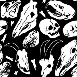 Wicked Clothes Animal Bones Socks