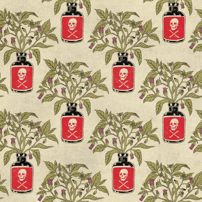 Wicked Clothes New 'Belladonna' High-Waisted Underwear 4 Wicked Clothes New 'Belladonna' High-Waisted Underwear