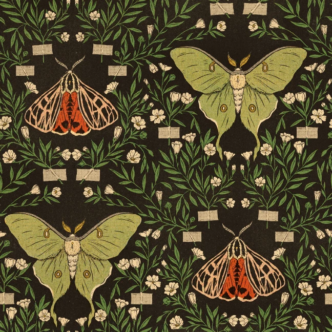 Wicked Clothes 'Floral Moth' High-Waisted Underwear 5 Wicked Clothes 'Floral Moth' High-Waisted Underwear