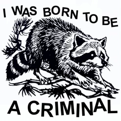 Wicked Clothes New 'Born Criminal' Shirt